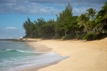 Hawaii
north shore
pipeline
 