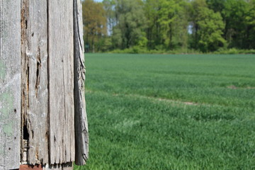 Alte Schoppenteile in der Landschaft