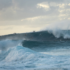 Hawaii
north shore
pipeline
 
