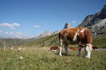 Naklejka premium Mountains