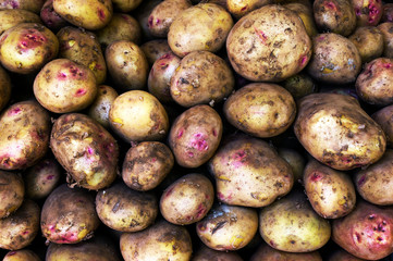 White Potatoes Background