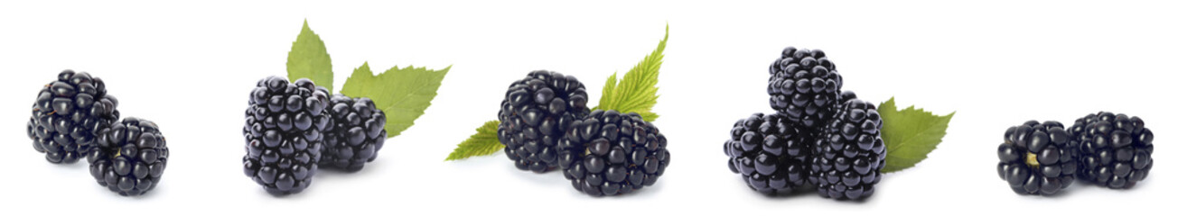 Set of ripe blackberries on white background. Banner design