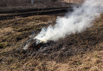 An extinguished smoking fire near the road. The burning of dry grass in the summer.