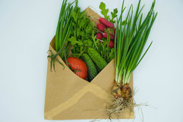 Paper envelope with set of organic vegetables on white surface. Food delivery concept. Copy space.