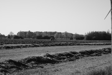 dutch farmland in spring