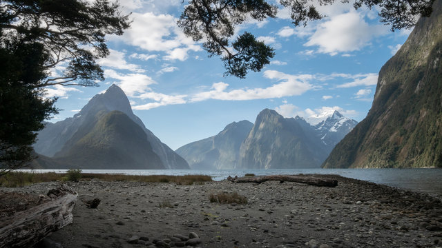 Fjord landscape framed by tree branches during the sunny day. Photo taken in Milford Sound, Fiordland National Park, New Zealand