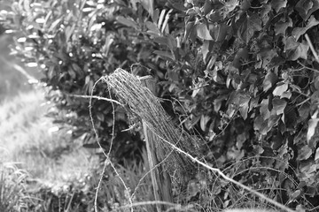 fence with barbed wire