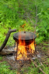 
cooking on a campfire in nature