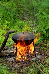 
cooking on a campfire in nature