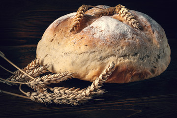 Homebaked bread. Closeup loaf of round fresh peasant bread and wheat spikelets on a wooden...
