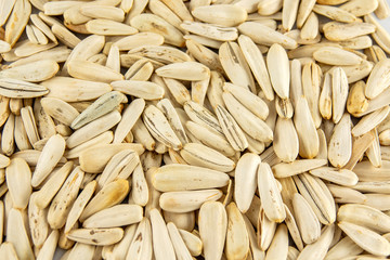 fresh nuts snack sunflower seeds