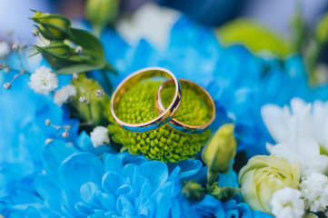 Wedding gold rings close-up on multi-colored flowers: chrysanthemums, asters, eustomas. Photography, concept, macro.