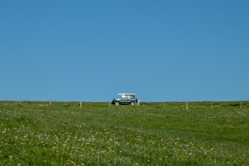 green meadow under the blue sky, car driving in the background