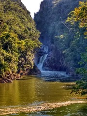 waterfall in the forest