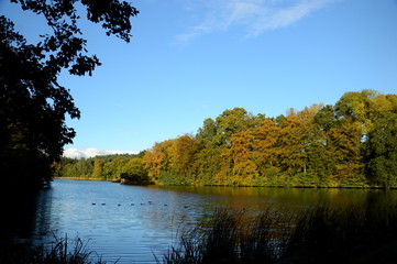Fototapeta premium autumn in the park