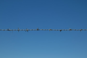 Tense barbed wire against a blue sky