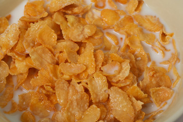 corn flakes meal healthy fresh cereal in a bowl