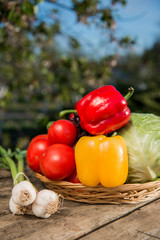 Fresh vegetables on wooden table.  Market vegetable, garden.Diet concept. Healthy organic vegetarian food. 