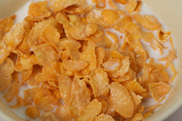 corn flakes meal healthy fresh cereal in a bowl