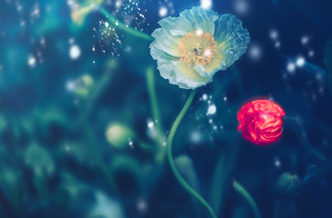 Plakat Dramatic flower background; Nature Background