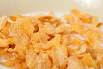 corn flakes meal healthy fresh cereal in a bowl