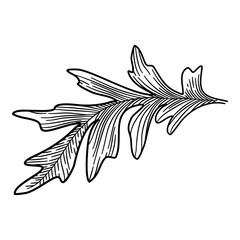 Medical chamomile leaf icon. Hand drawn illustration of medical chamomile leaf vector icon for web design