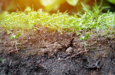 A section of soil with different visible layers and grass on top     