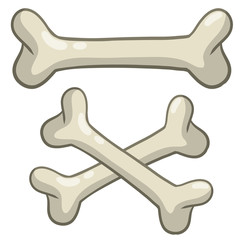 Human bone. Set of skeleton Elements. Crossed object is Jolly Roger and pirate flag. Cartoon flat illustration