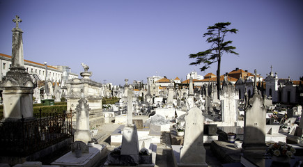 Old cemetery in lisbon