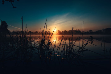 Sonnenaufgang über einem See mit vielen Mücken im Gras am Ufer
