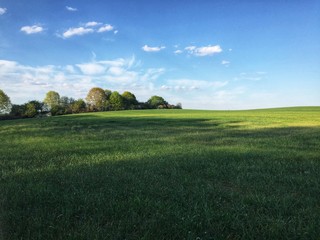 Polish grass and landscapes. Sun and blue sky.  © Mateusz