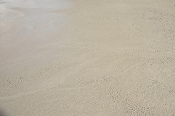 Fresh concrete after being poured on construction site