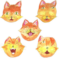 Set of five fox cat heads. Watercolor hand drawn illustration