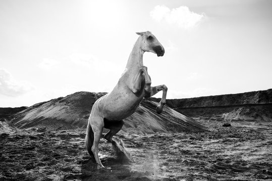 View Of Horse Jumping In Front Of A Mountain Against Sky