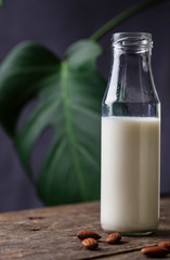 Lactose free nondairy buckwheat milk