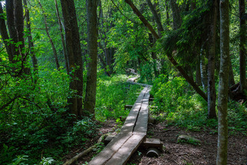 Obraz premium Recreation area