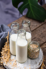 Lactose free nondairy buckwheat milk