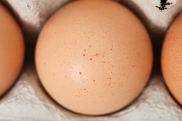 raw eggs healthy group farm product in box