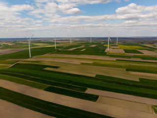 energia z wiatru, wiatraki prądotwórcze suche pola, susza w Polsce,  stan wyjątkowy  - obrazy, fototapety, plakaty