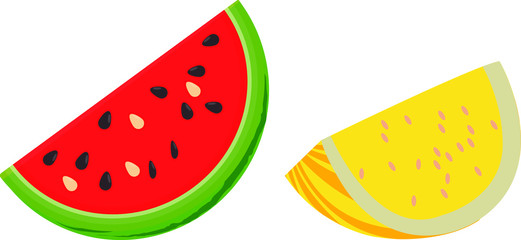 watermelon vector illustration