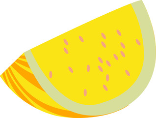 Cantaloup slice isolated on white background. Vector illustration
