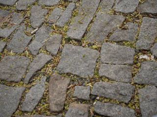 
texture of an old sidewalk in Prague in spring 2020