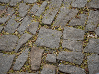 
texture of an old sidewalk in Prague in spring 2020