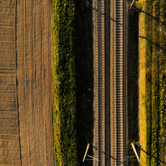 tory pola uprawne  © Marcin