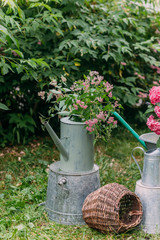 Tender flowers in an old green watering can, a basket and a wheelbarrow on the lawn in the garden of a country  house