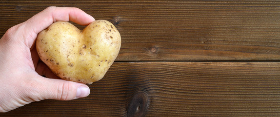 ugly food. woman's hand holding ugly vegetable a heart shaped potato on a wooden plank table. banner. space for text - obrazy, fototapety, plakaty
