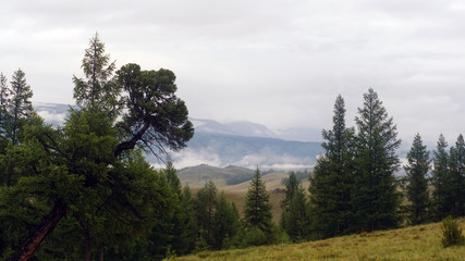 mountain landscape with snow peaks in Altai