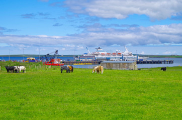 Kirkwall, popular cruise destination in Scotland on Orkney Islands, for cruiseships or cruise ship...