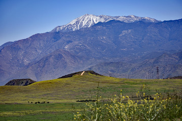 Naklejka premium View of Mountains from Pasture