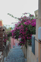 Fototapeta na wymiar Buildings of the Village of Oia, Santorini 